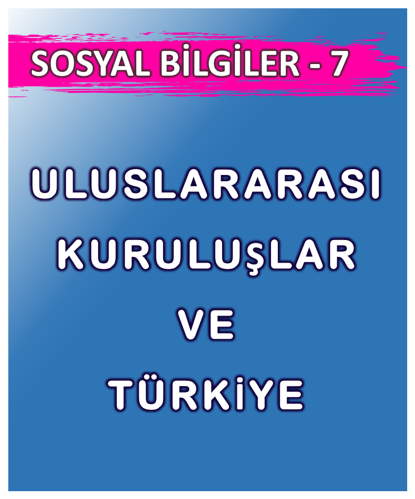 Uluslararası Kuruluşlar ve Türkiye